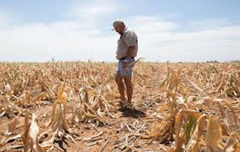 What Are The Effects Of Drought In South Africa